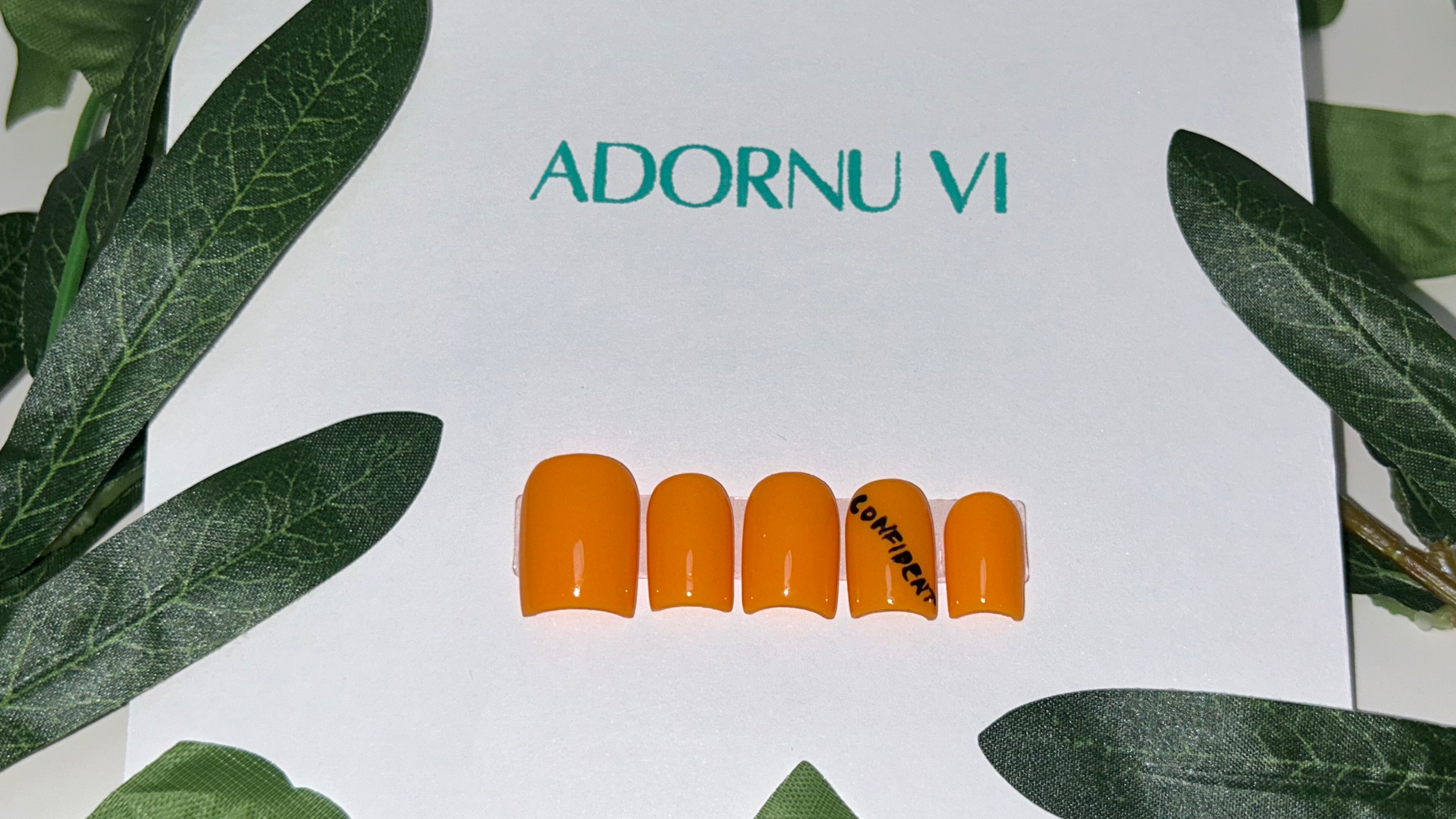 Confident In Jesus Christ